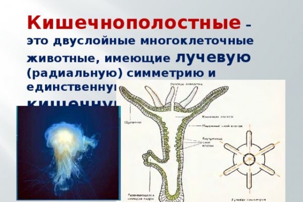 Кракен это современный даркнет