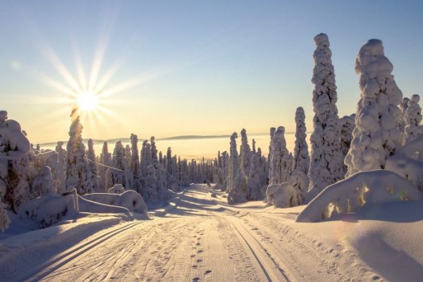 Кракен верное зеркало