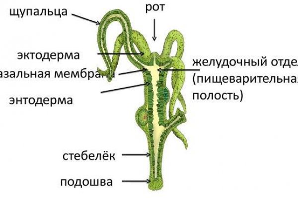 Кракен как зайти ссылка