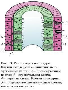 Кракен сбой